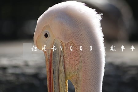 信用卡9000逾期半年 信用卡9000逾期半年