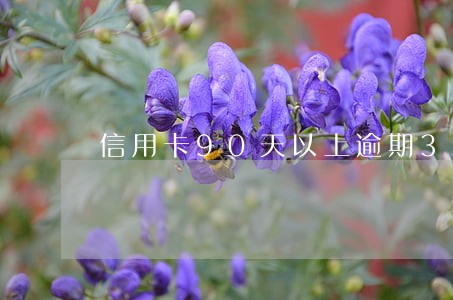 信用卡90天以上逾期3年了 信用卡90天以上逾期3年了