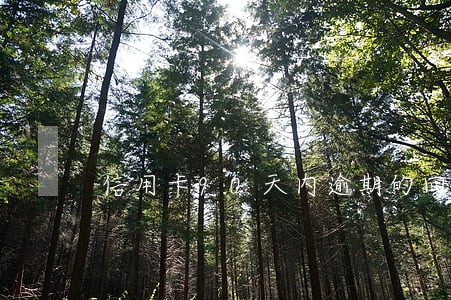 信用卡90天内逾期的回收率 信用卡90天内逾期的回收率