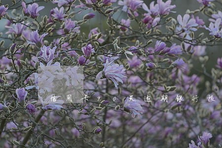信用卡90天逾期银行报案 信用卡90天逾期银行报案
