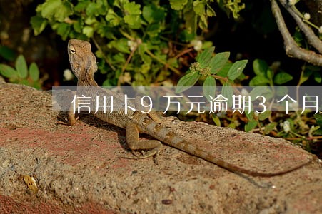 信用卡9万元逾期3个月 信用卡9万元逾期3个月