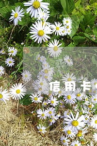 信用卡9万逾期3个月