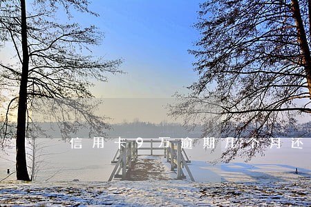 信用卡9万逾期几个月还款