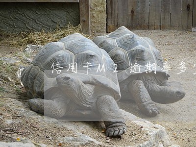 信用卡M2逾期率多少算好 信用卡M2逾期率多少算好