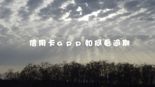 信用卡app如何看逾期