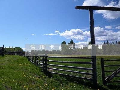 信用卡e分期逾期 信用卡e分期逾期