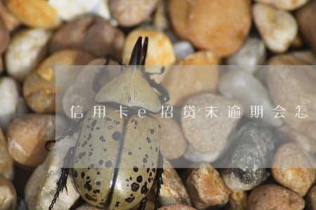 信用卡e招贷未逾期会怎么样