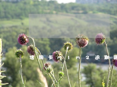 信用卡m1m2逾期周期天数 信用卡m1m2逾期周期天数
