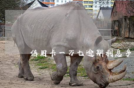 信用卡一万七逾期利息多少