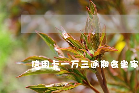 信用卡一万三逾期会坐牢吗 信用卡一万三逾期会坐牢吗