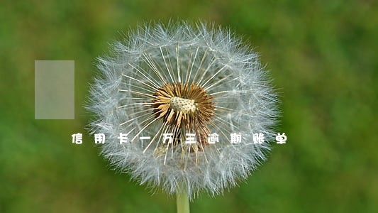 信用卡一万三逾期账单 信用卡一万三逾期账单