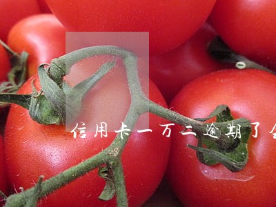 信用卡一万二逾期了会坐牢吗