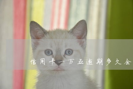 信用卡一万五逾期多久会上征信 信用卡一万五逾期多久会上征信