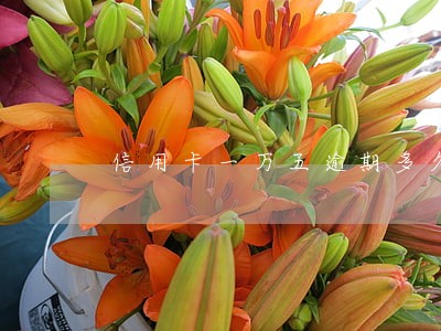 信用卡一万五逾期多久会上门 信用卡一万五逾期多久会上门
