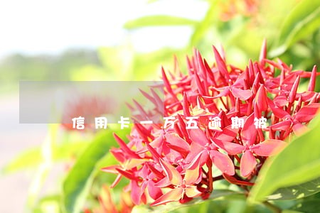 信用卡一万五逾期被 信用卡一万五逾期被