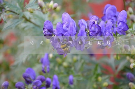 信用卡一万五逾期超过三个月 信用卡一万五逾期超过三个月