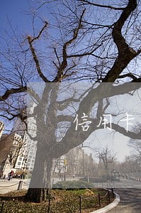 信用卡一万以上逾期