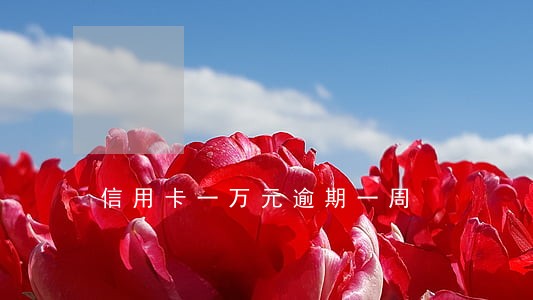 信用卡一万元逾期一周