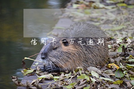 信用卡一万元逾期一天多少钱 信用卡一万元逾期一天多少钱