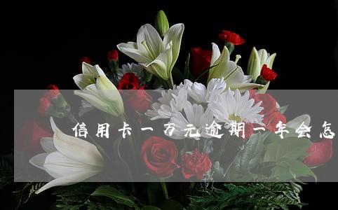 信用卡一万元逾期一年会怎样 信用卡一万元逾期一年会怎样