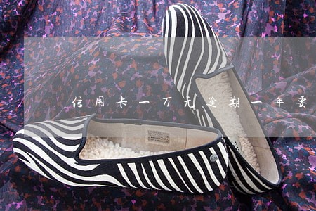 信用卡一万元逾期一年要还多少钱