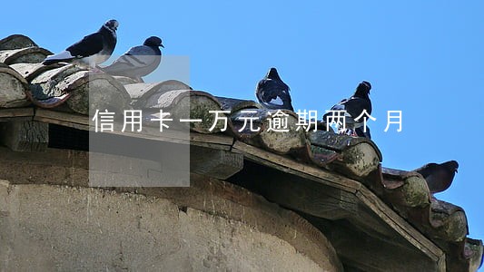 信用卡一万元逾期两个月 信用卡一万元逾期两个月