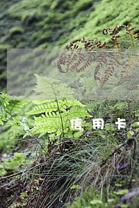 信用卡一万元逾期会坐牢吗 信用卡一万元逾期会坐牢吗