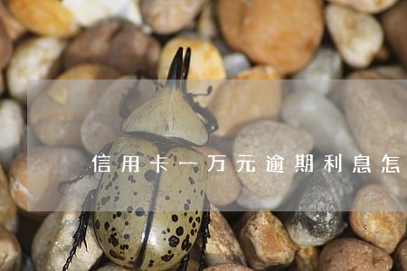 信用卡一万元逾期利息怎么算 信用卡一万元逾期利息怎么算