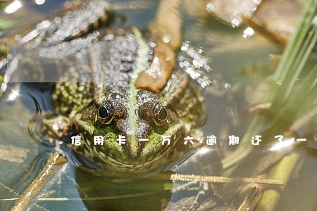 信用卡一万六逾期还了一万五