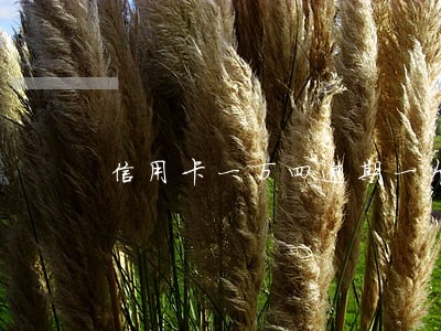 信用卡一万四逾期一个月 信用卡一万四逾期一个月