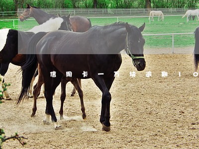 信用卡一万块逾期10天 信用卡一万块逾期10天