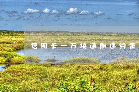 信用卡一万块逾期违约金多少 信用卡一万块逾期违约金多少