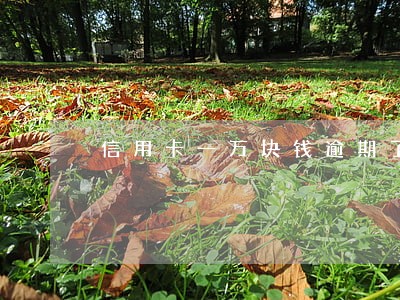 信用卡一万块钱逾期了 信用卡一万块钱逾期了