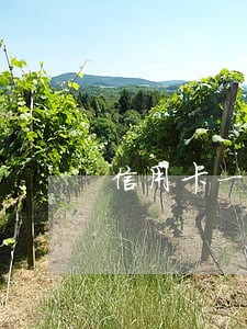 信用卡一万多逾期2年