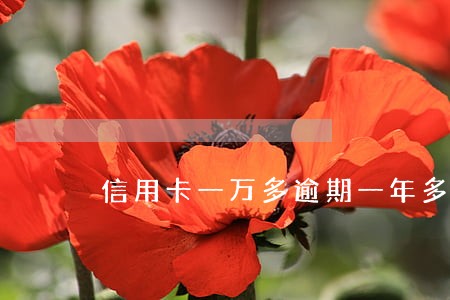 信用卡一万多逾期一年多了 信用卡一万多逾期一年多了