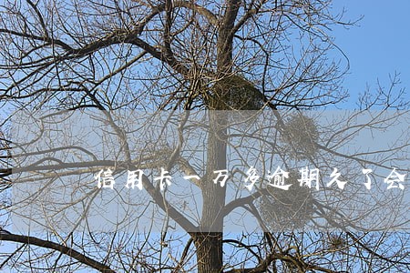信用卡一万多逾期久了会怎样 信用卡一万多逾期久了会怎样