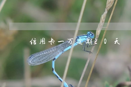 信用卡一万逾期20天 信用卡一万逾期20天