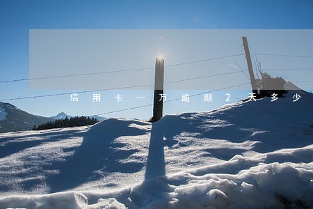 信用卡一万逾期2天多少钱 信用卡一万逾期2天多少钱