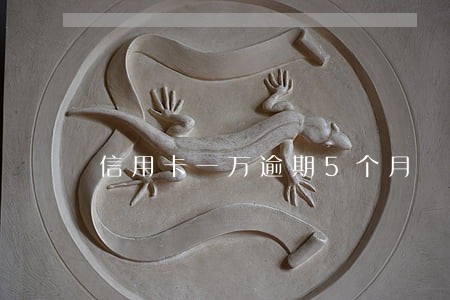 信用卡一万逾期5个月 信用卡一万逾期5个月