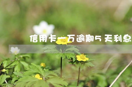 信用卡一万逾期5天利息多少