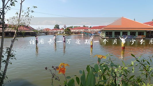 信用卡一万逾期一个月多少费用 信用卡一万逾期一个月多少费用
