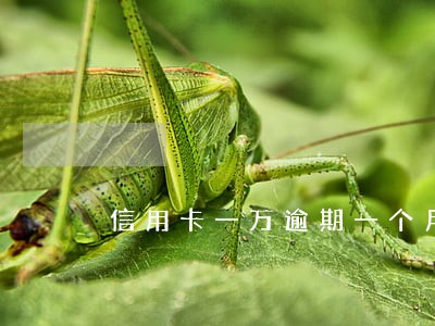 信用卡一万逾期一个月多少钱 信用卡一万逾期一个月多少钱