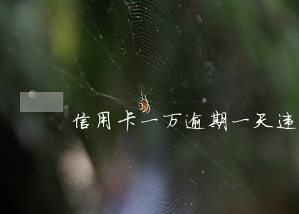 信用卡一万逾期一天违约金利息 信用卡一万逾期一天违约金利息