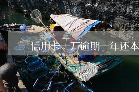 信用卡一万逾期一年还本金多少 信用卡一万逾期一年还本金多少