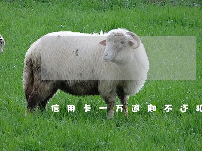 信用卡一万逾期不还犯法吗
