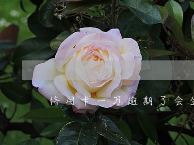 信用卡一万逾期了会坐牢吗 信用卡一万逾期了会坐牢吗