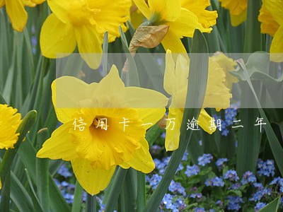 信用卡一万逾期二年 信用卡一万逾期二年