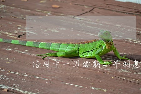 信用卡一万逾期二年利息多少 信用卡一万逾期二年利息多少