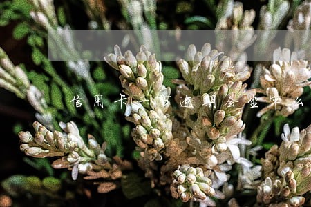 信用卡一万逾期会坐牢么