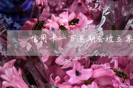 信用卡一万逾期会被立案入刑吗 信用卡一万逾期会被立案入刑吗